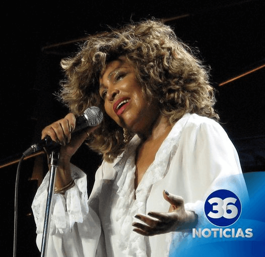 Fallece la cantante Tina Turner