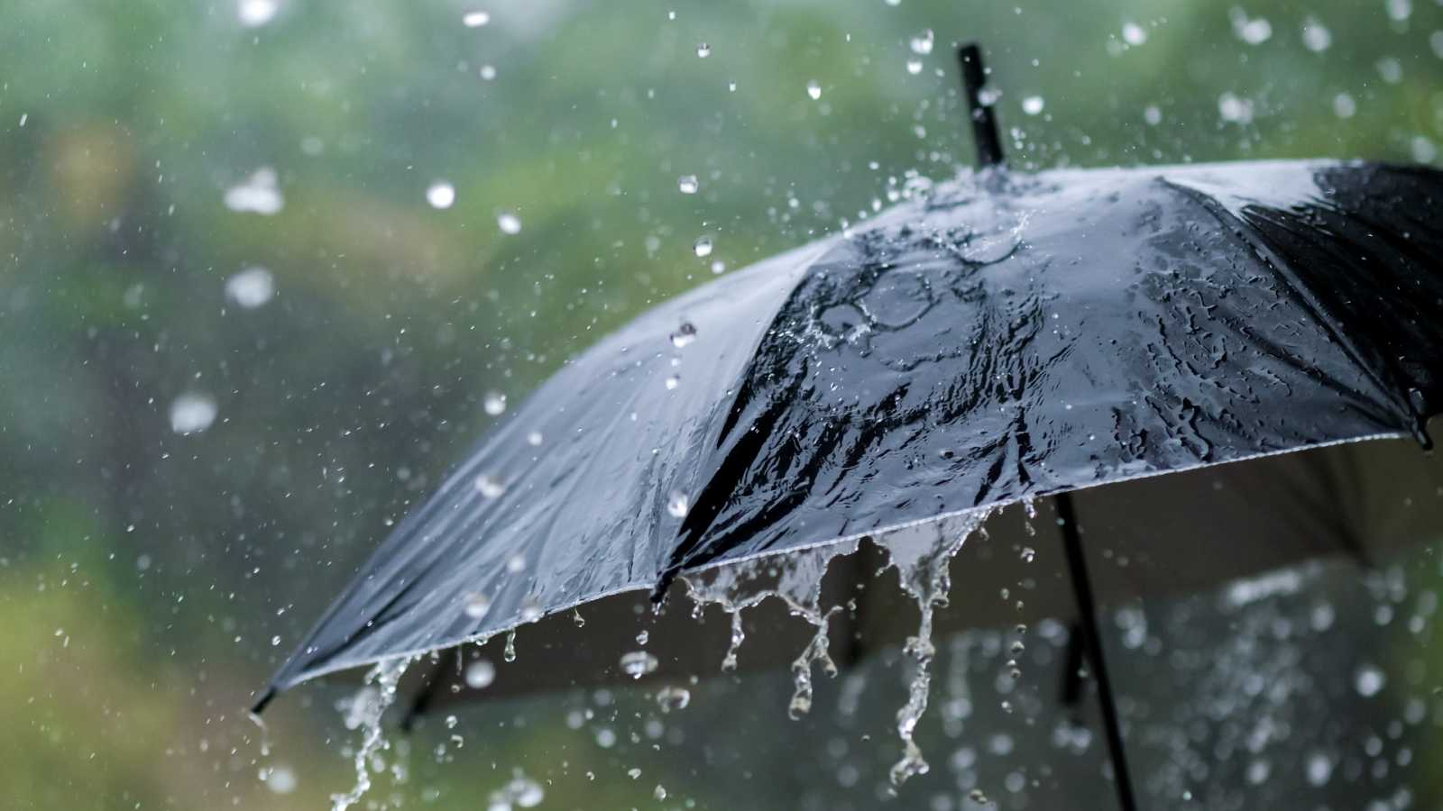 Recuerde Abrir las Ventanas Cuando Llueve: El Poder Purificador de la Lluvia en su Hogar