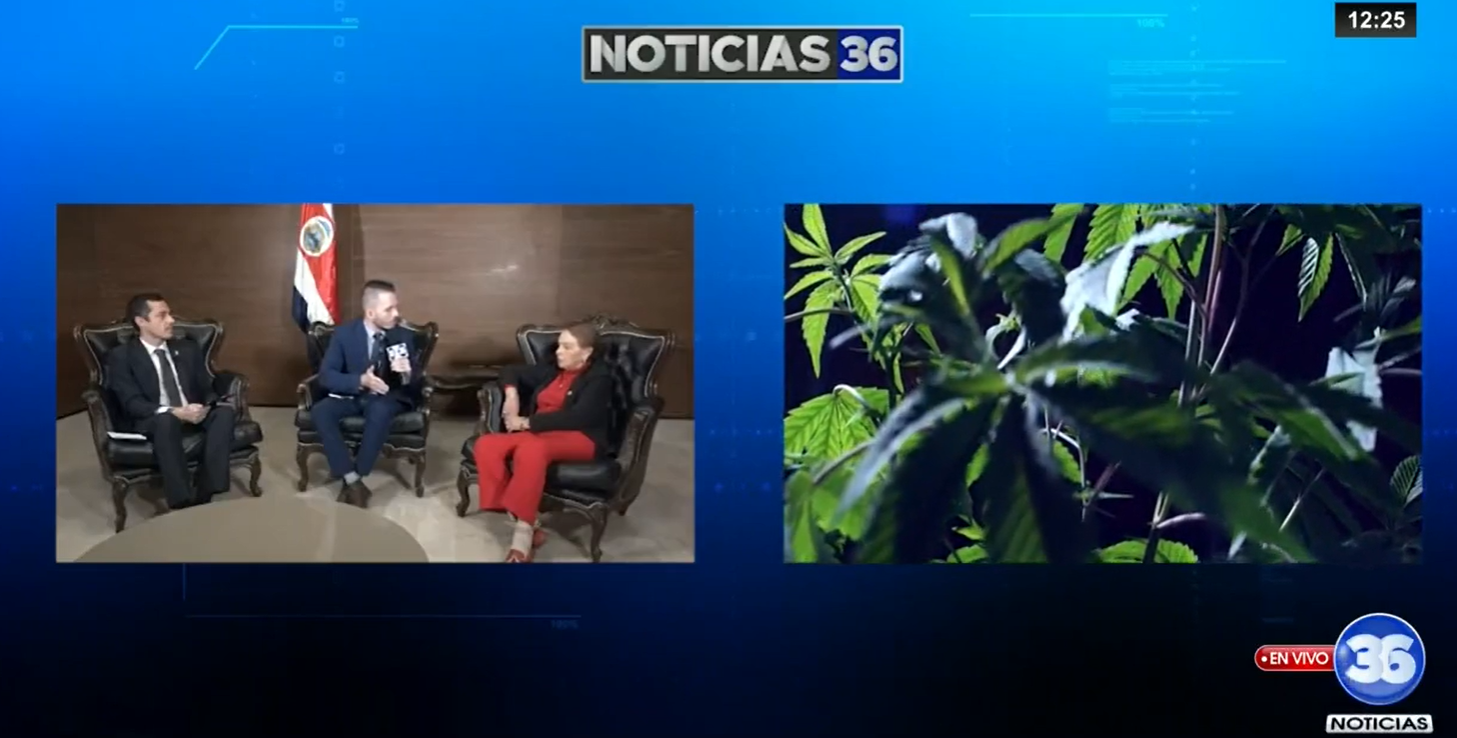 Debate en Costa Rica: ¿Se debe legalizar el cannabis para uso recreativo o de adultos?