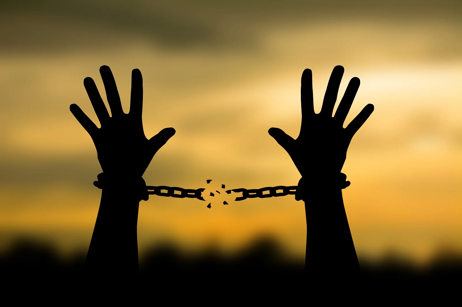Día Internacional de la Remembranza: Trata de Esclavos y Abolición