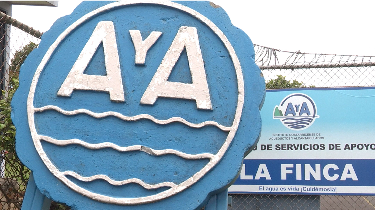 AyA es un Pan Feo
