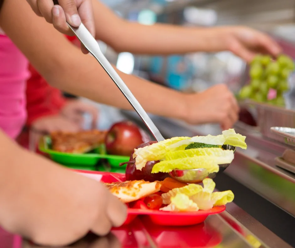 207 centros educativos brindarán servicio de comedor