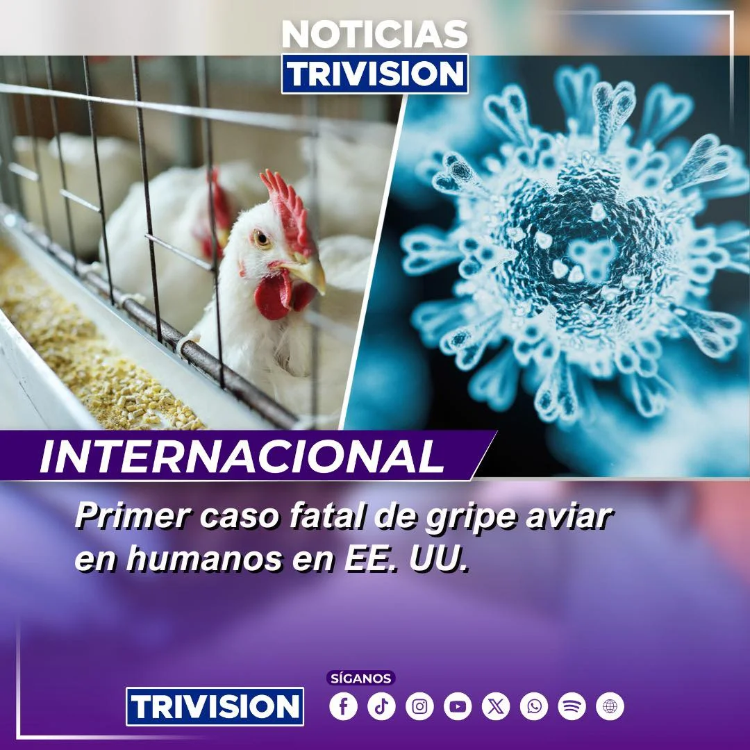 Primera muerte por gripe aviar H5N1 en EE. UU. preocupa