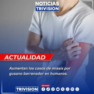 miasis por gusano barrenador