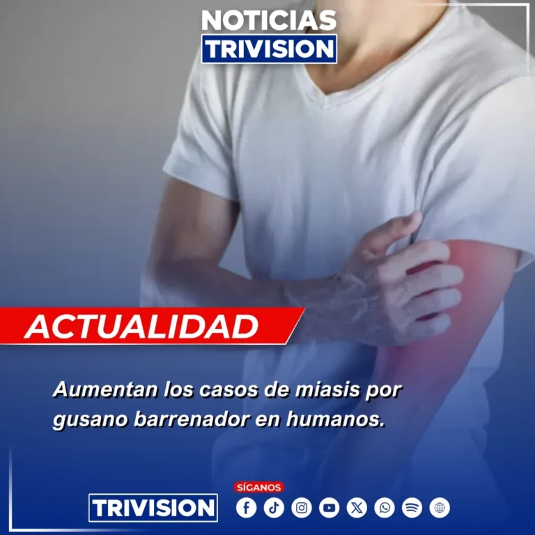 miasis por gusano barrenador