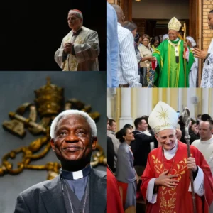 Sucesor Papa Francisco