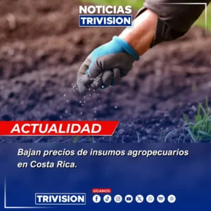 precios de insumos agrícolas