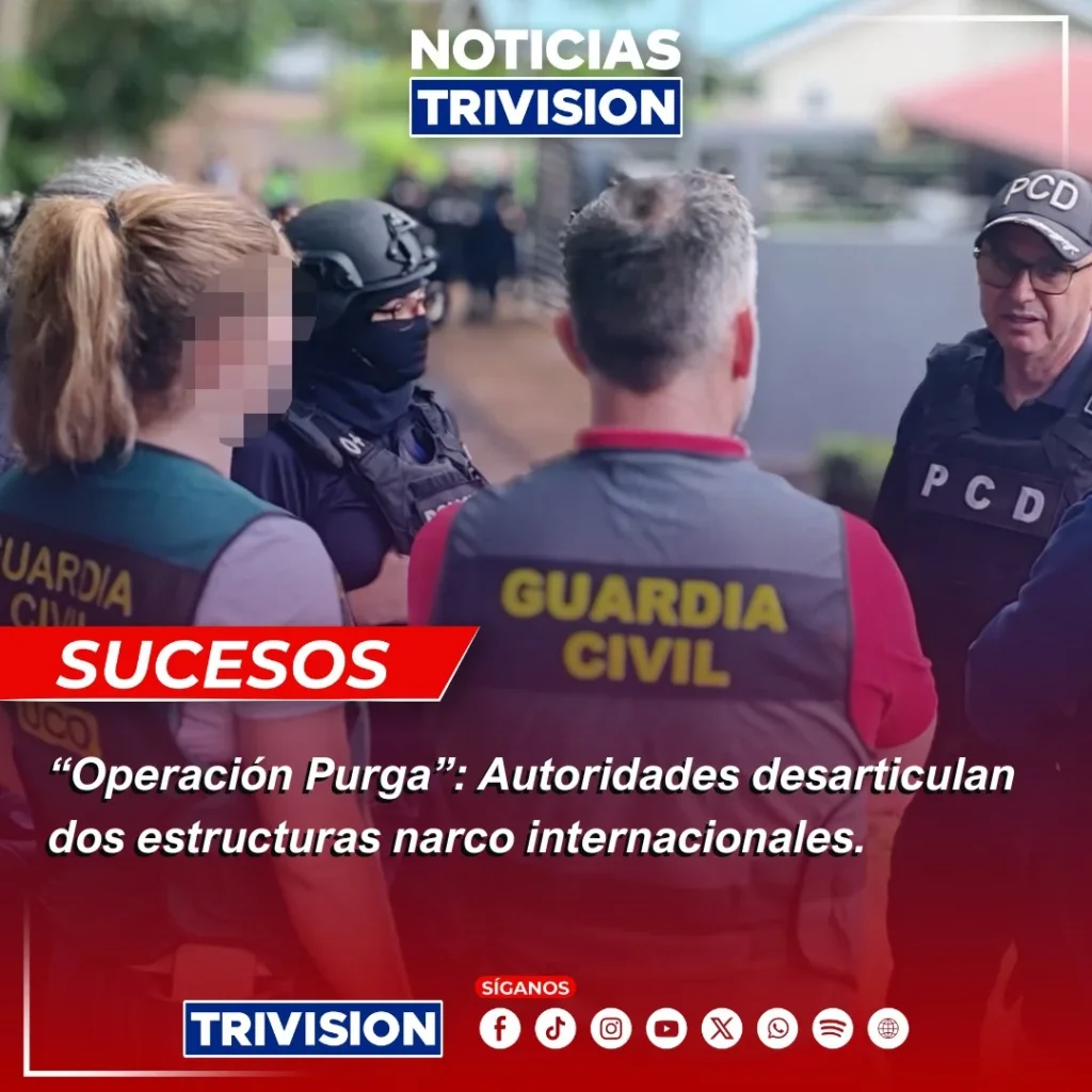 red narco frutas y chatarra cocaína Europa