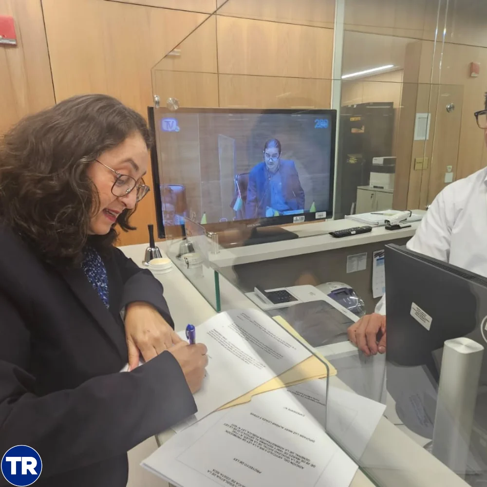 Luz Mary Alpízar ley paridad Poder Ejecutivo