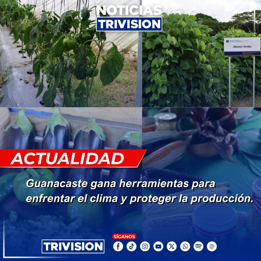 Familias de Guanacaste aplican tecnología sostenible
