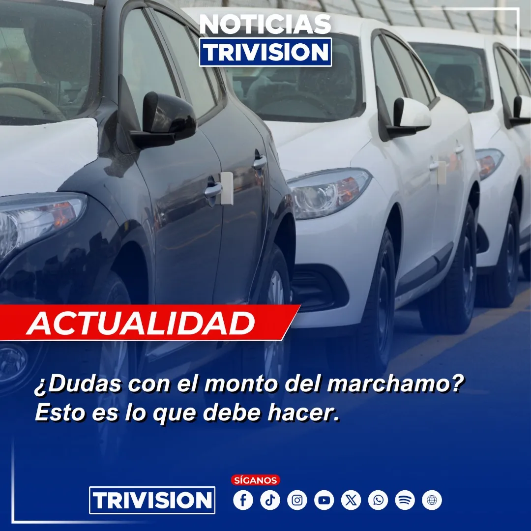 Marchamo 2026: consultas superan 3 millones en el INS
