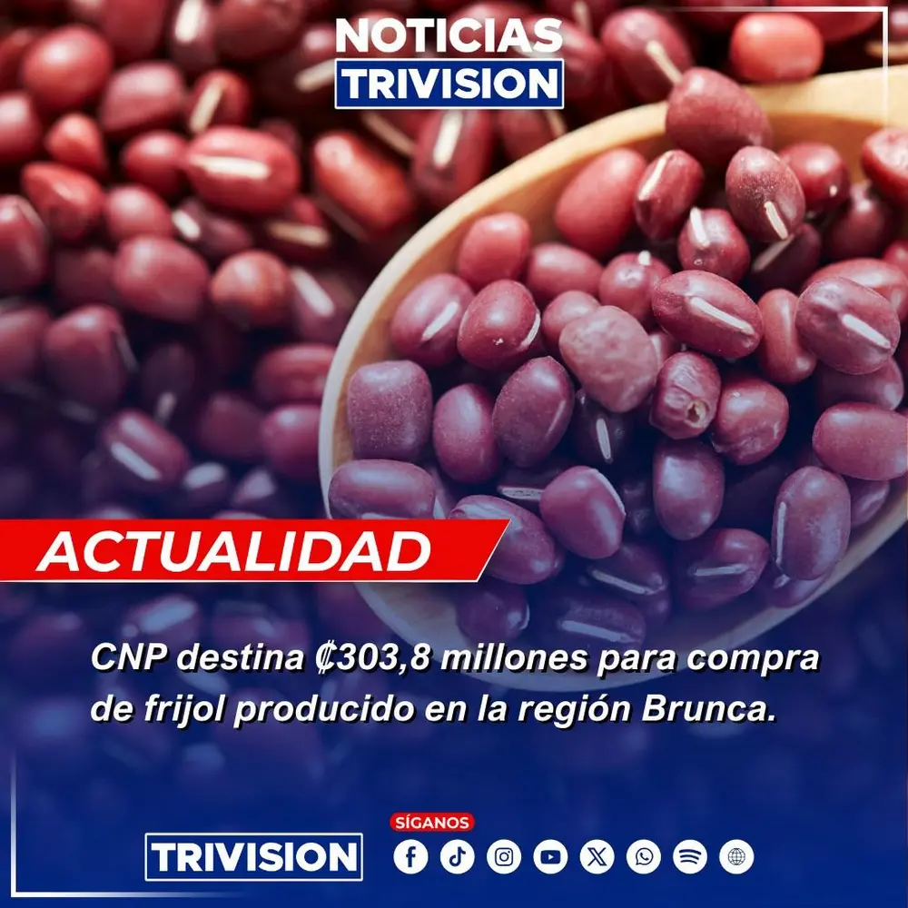 CNP adquiere 4.500 quintales de frijol para fortalecer el Programa de Abastecimiento Institucional
