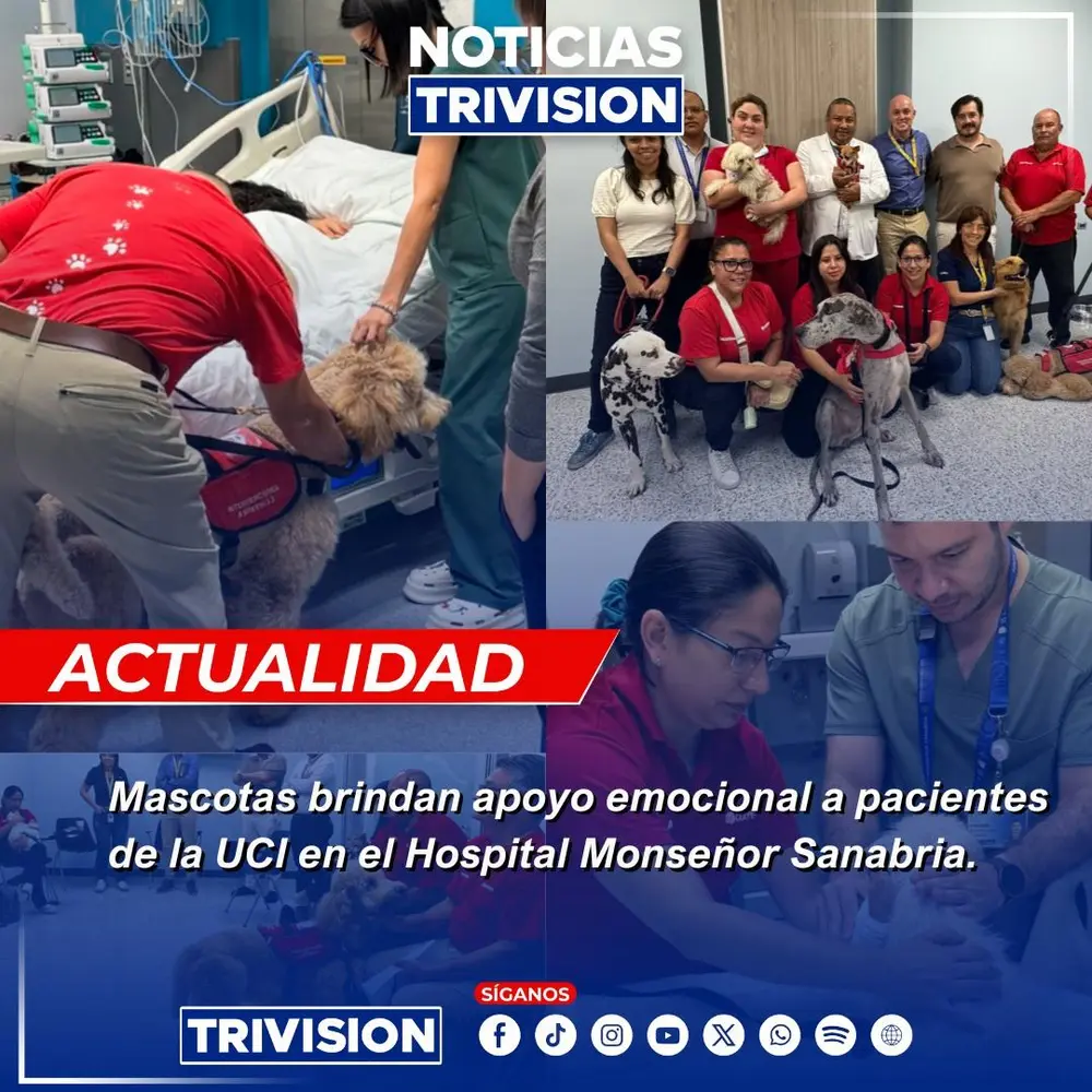 Hospital Monseñor Sanabria introduce terapia con mascotas en UCI