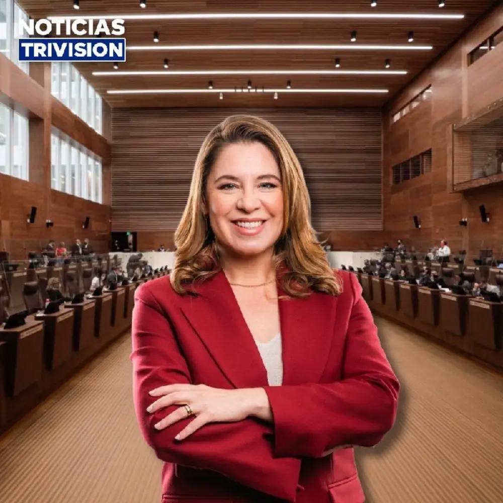 ¿Comisión de asuntos sin importancia? Claudia Dobles responde