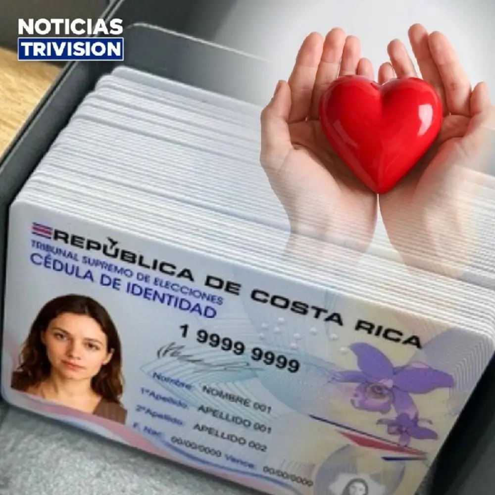 Cédula de identidad y TIM incluirán la decisión de donar órganos y tejidos
