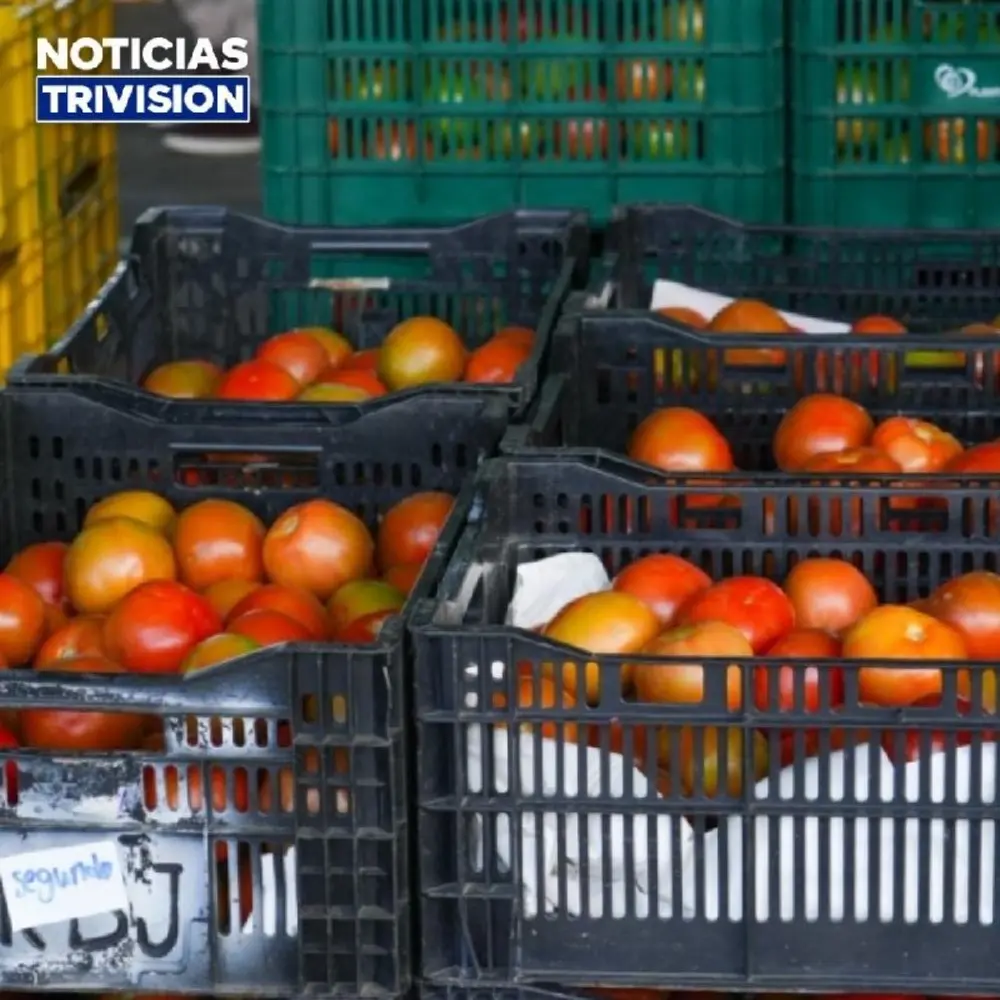 Costa Rica moderniza venta agrícola con plataforma digital