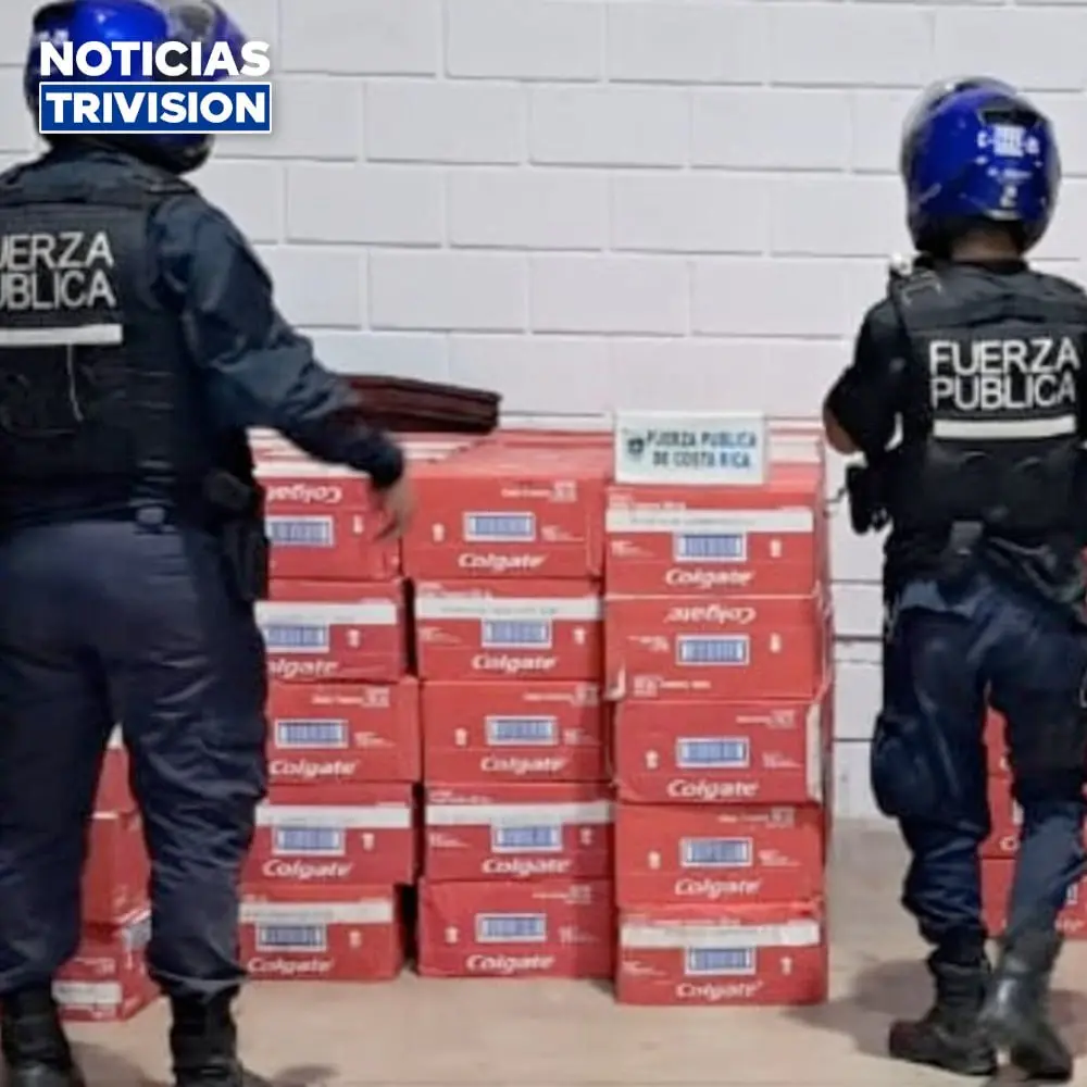 Decomisan más de 22 mil cremas dentales bajo abonó.