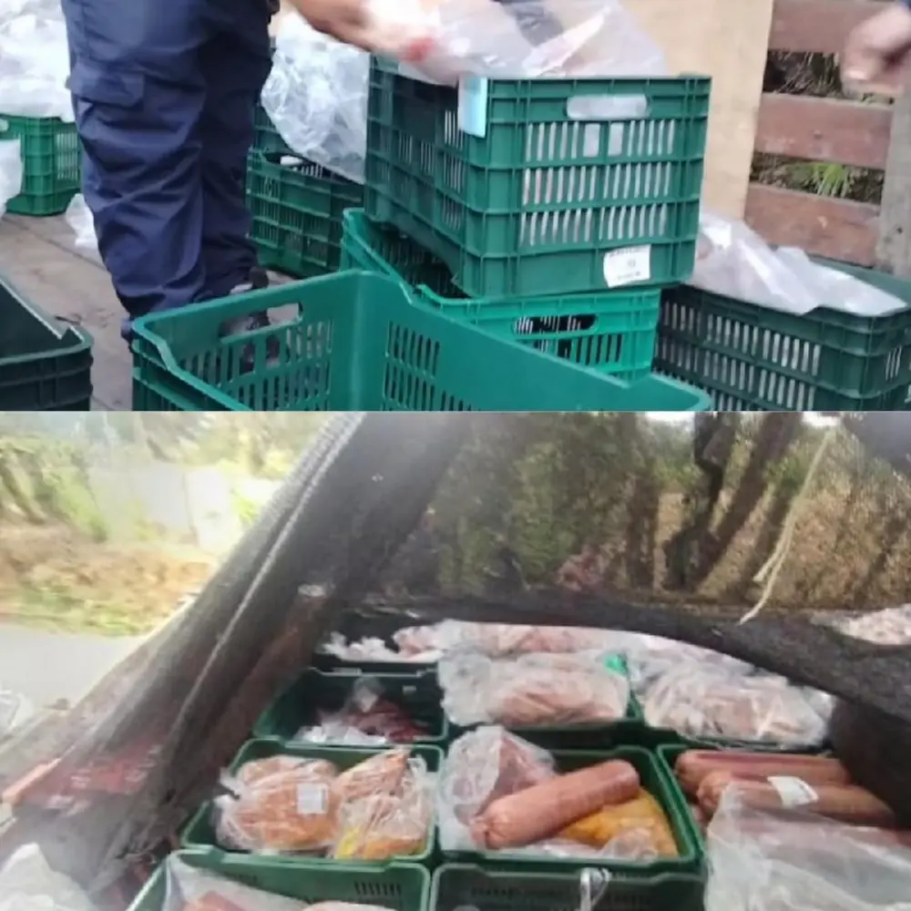 Decomisan una tonelada de carne que era transportada de manera insalubre