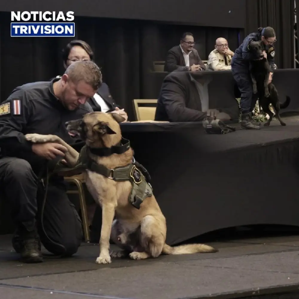 Fuerza Pública despide a sus canes y reconoce a sus oficiales