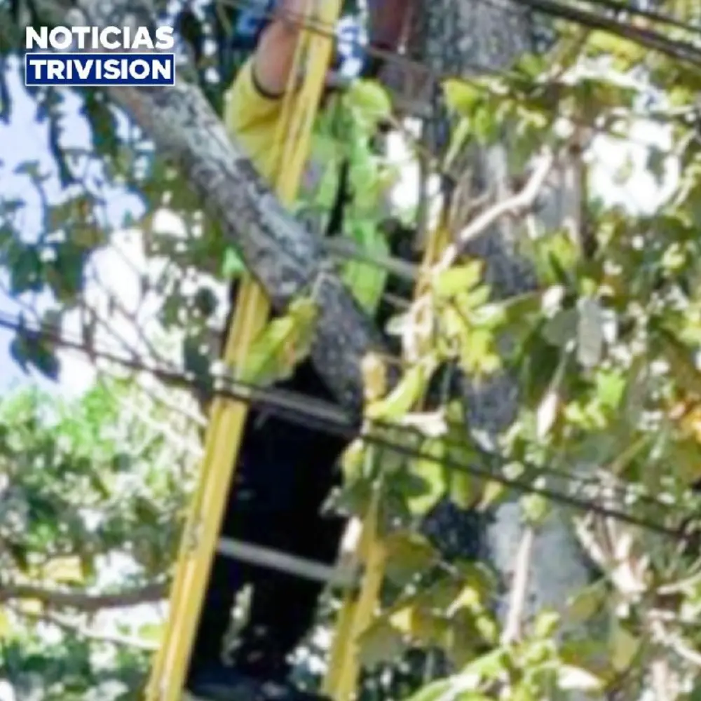 Hombre fallece tras descarga eléctrica en Guachipelín de Escazú