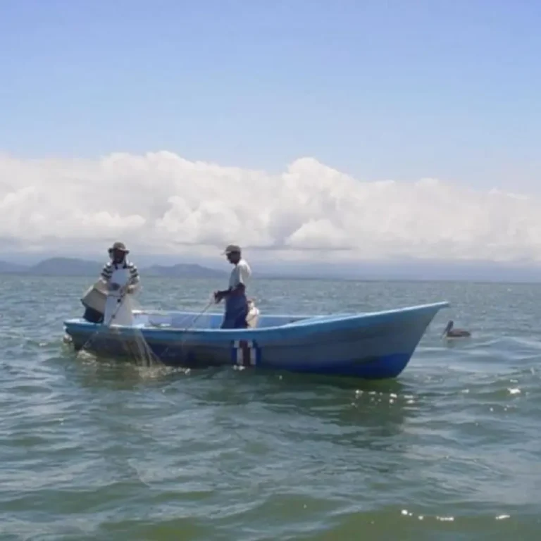 Inicia veda en el Golfo de Nicoya para la protección de especies