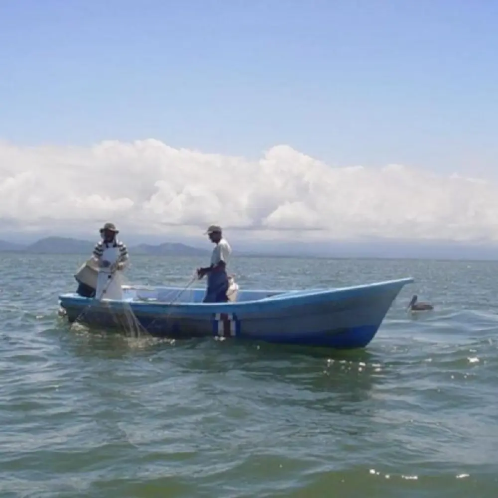 Inicia veda en el Golfo de Nicoya para la protección de especies
