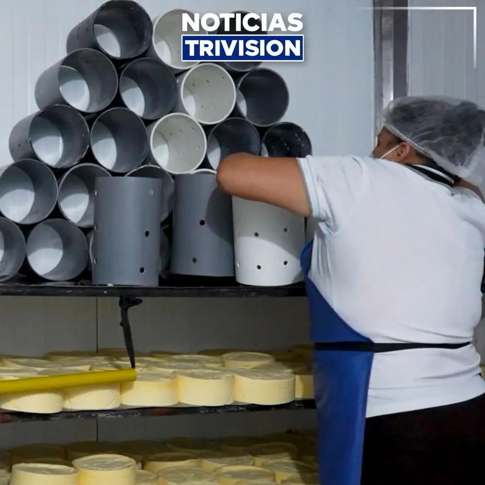 Producción láctea en Turrialba recibirá ₡56 millones