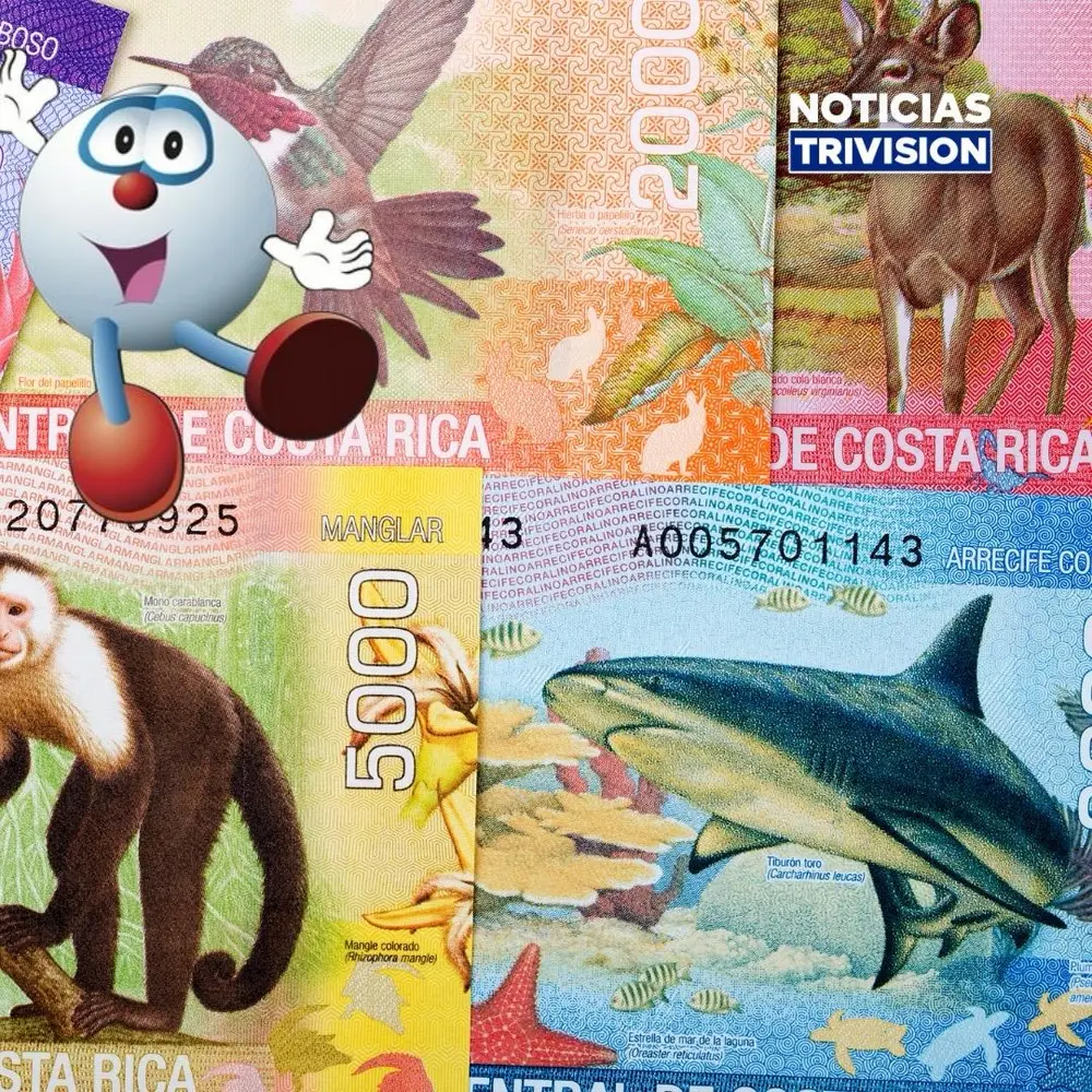 Acumulado de ₡1,617 millones se quedó en Guanacaste
