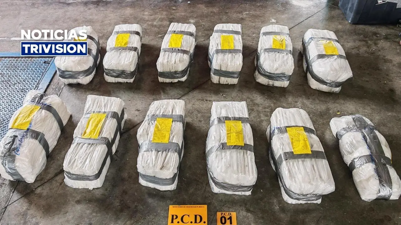 Decomisan más de 230 kilos de cocaína rumbo a Europa