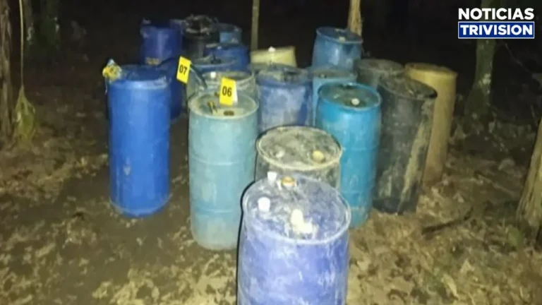 Desarticulan aparente red dedicada al robo de combustible en Limón3
