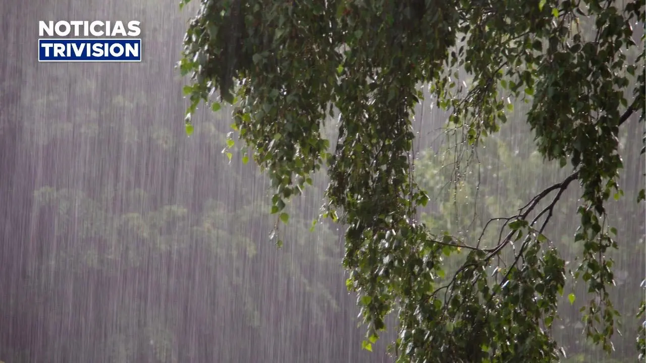 Onda tropical #5 provoca fuertes lluvias y tormentas este jueves