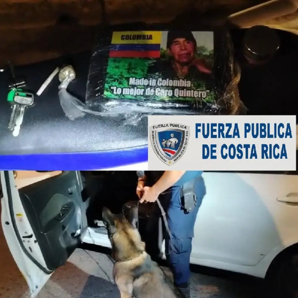 Ubican droga con referencia al narcotraficante mexicano Caro Quintero