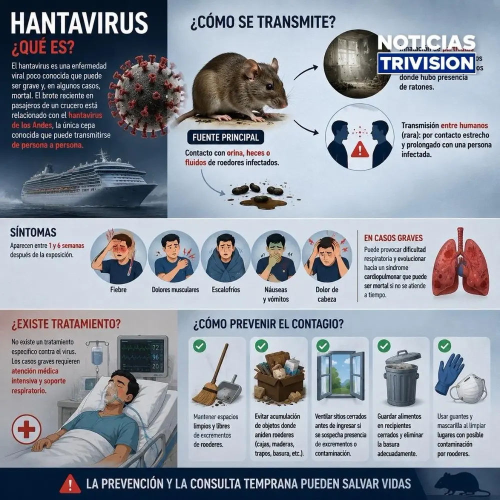 ¿Qué es el hantavirus y cómo se transmite?