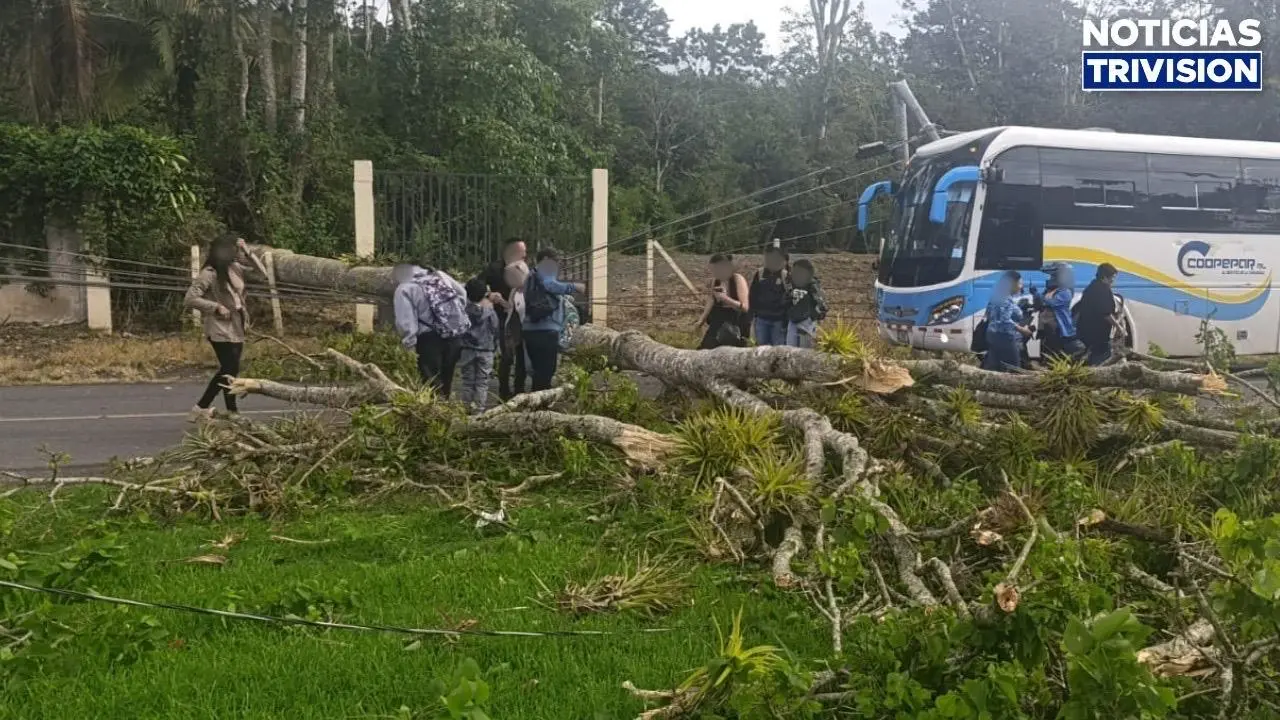 40 emergencias por lluvias y fuertes vientos en las últimas 24 horas