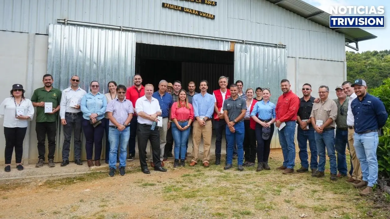 Agricultura de precisión beneficia a 120 productores de café, cebolla y piña