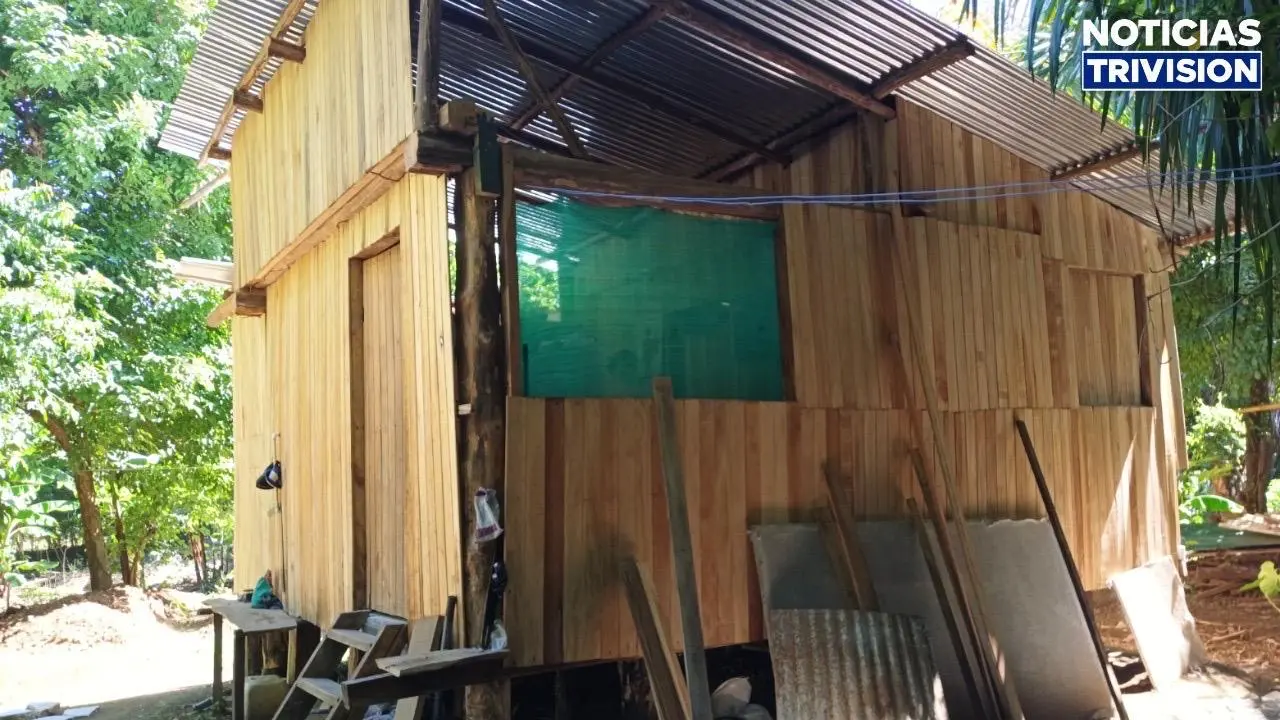 Cabaña construida ilegalmente en Nosara, Nicoya, fue derribada por las autoridades
