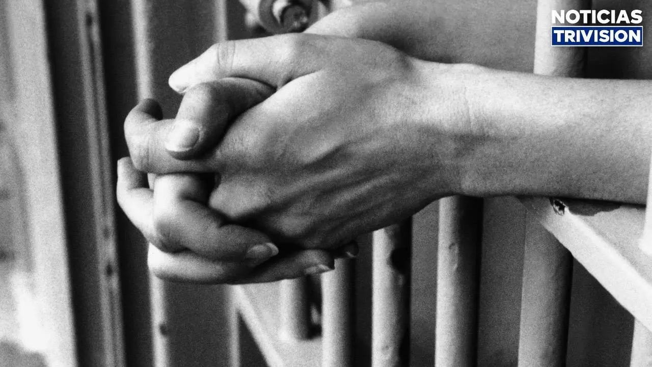 Condenan a 9 años de prisión a hombre por drogas y armas ilegales