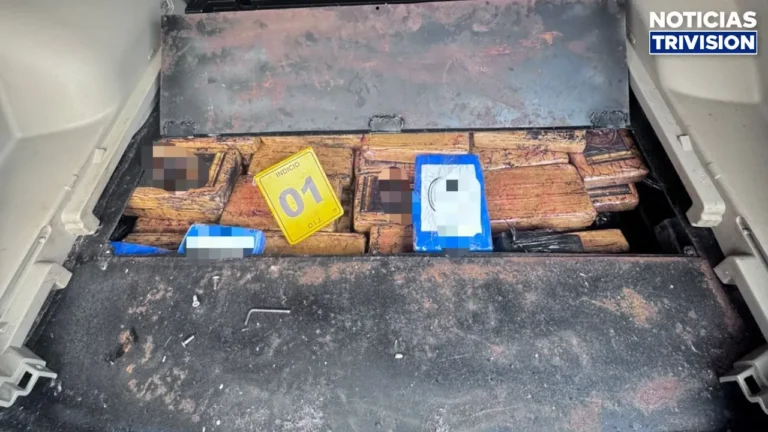 Cuatro detenidos tras decomiso de cerca de 500 kilos de cocaína en Tárcoles3