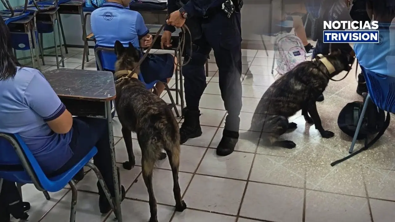 Estudiante llevaba dos pasamontañas y una cuchilla en su bolso en Boca Arenal, San Carlos