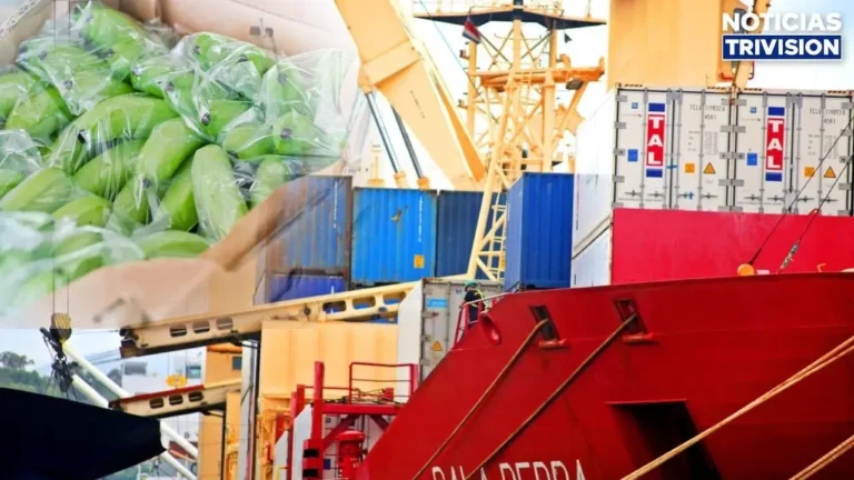 Exportaciones de bienes de Costa Rica superan los $9,500 millones en lo que va del año