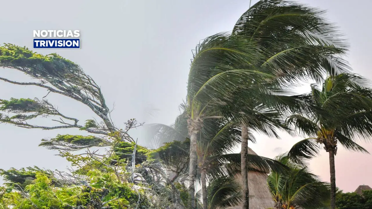 IMN prevé fin de semana con fuertes ráfagas de viento