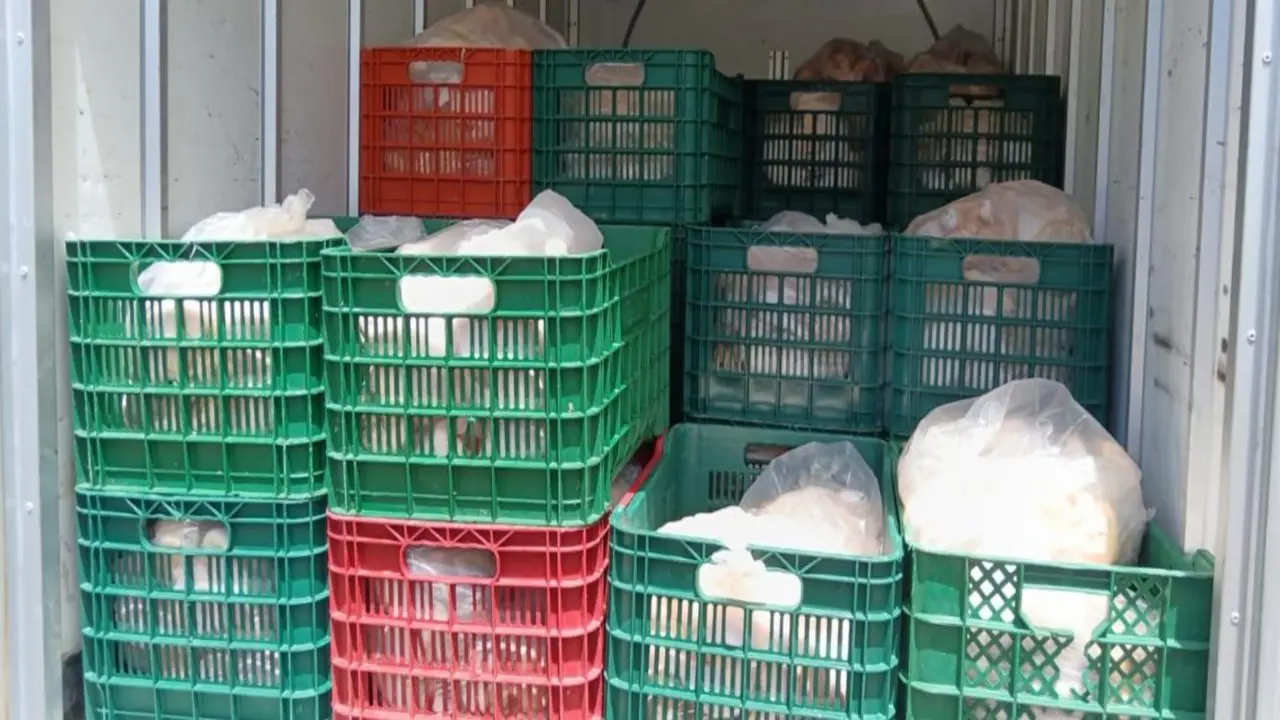 Incautan más de una tonelada de pollo que habría sido introducido ilegalmente desde Panamá