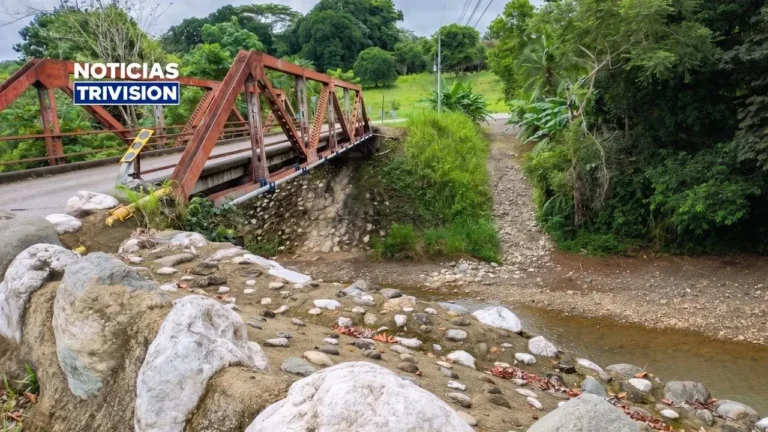 Inicia la construcción del nuevo puente sobre el río Balsar en Osa