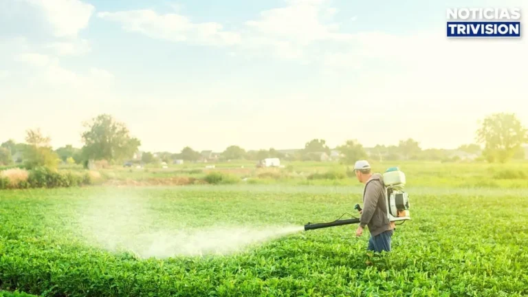 MAG registra nuevas tecnologías agrícolas para fortalecer la producción nacional