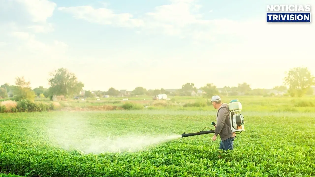MAG registra nuevas tecnologías agrícolas para fortalecer la producción nacional