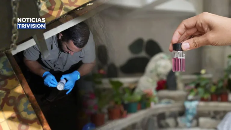 Ministerio de Salud analiza calidad del agua en la Basílica previo a la Romería