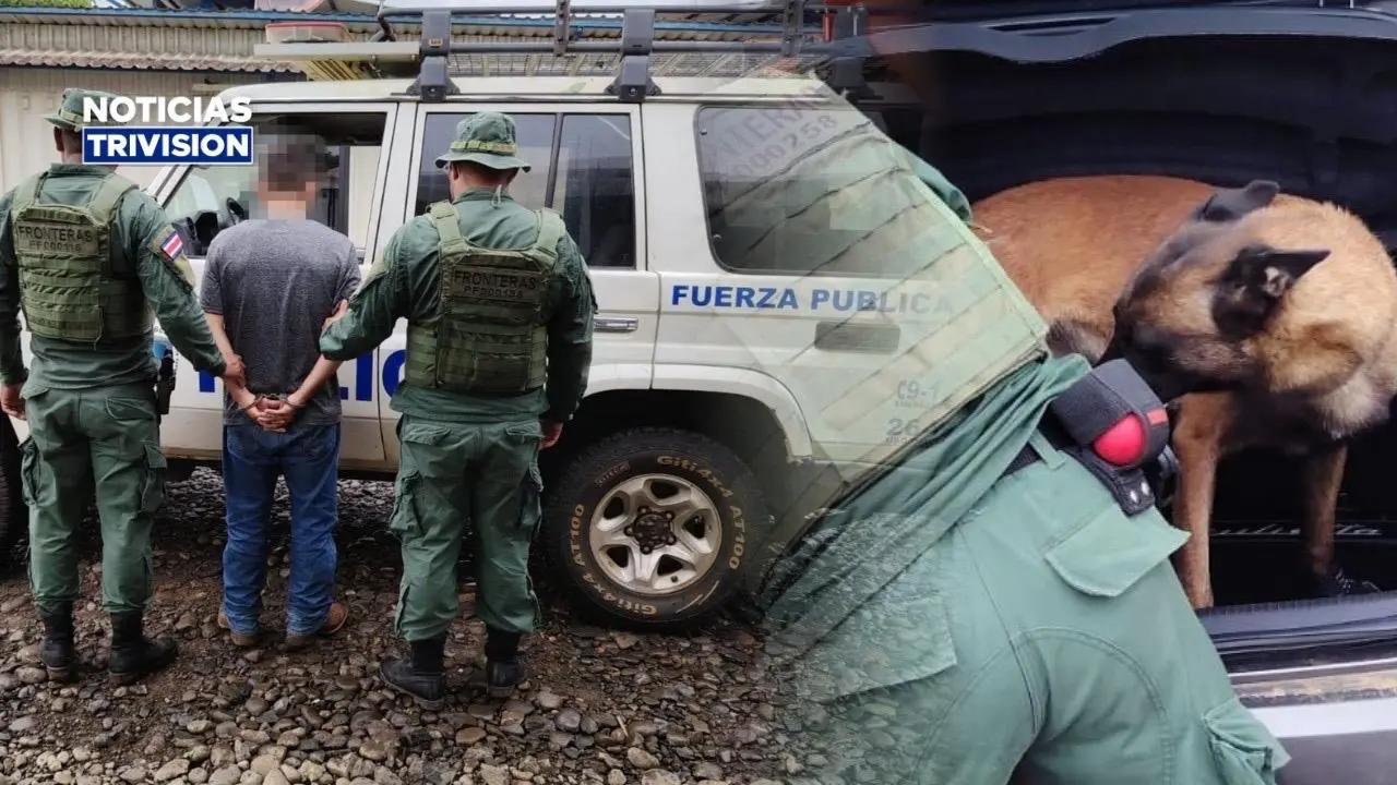 Oficial canino ayuda a capturar a hombre con orden de captura