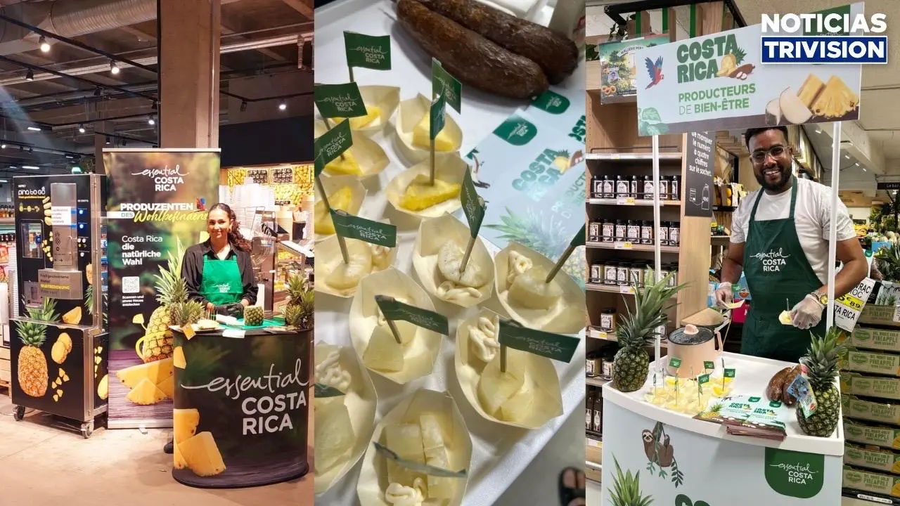 Piña y yuca costarricense se promocionan en supermercados de Francia y Alemania