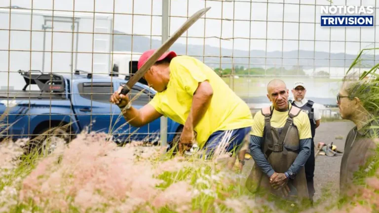 Plan Cero Ocio llevará a reos a trabajos comunitarios