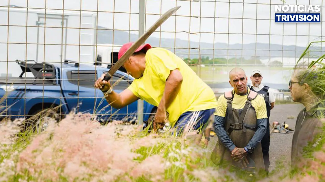 Plan Cero Ocio llevará a reos a trabajos comunitarios